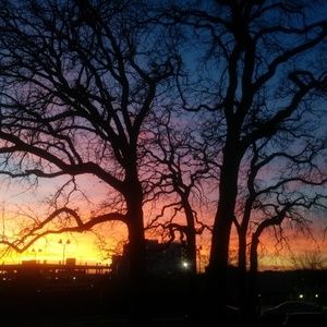 Meet your Posher, 洋